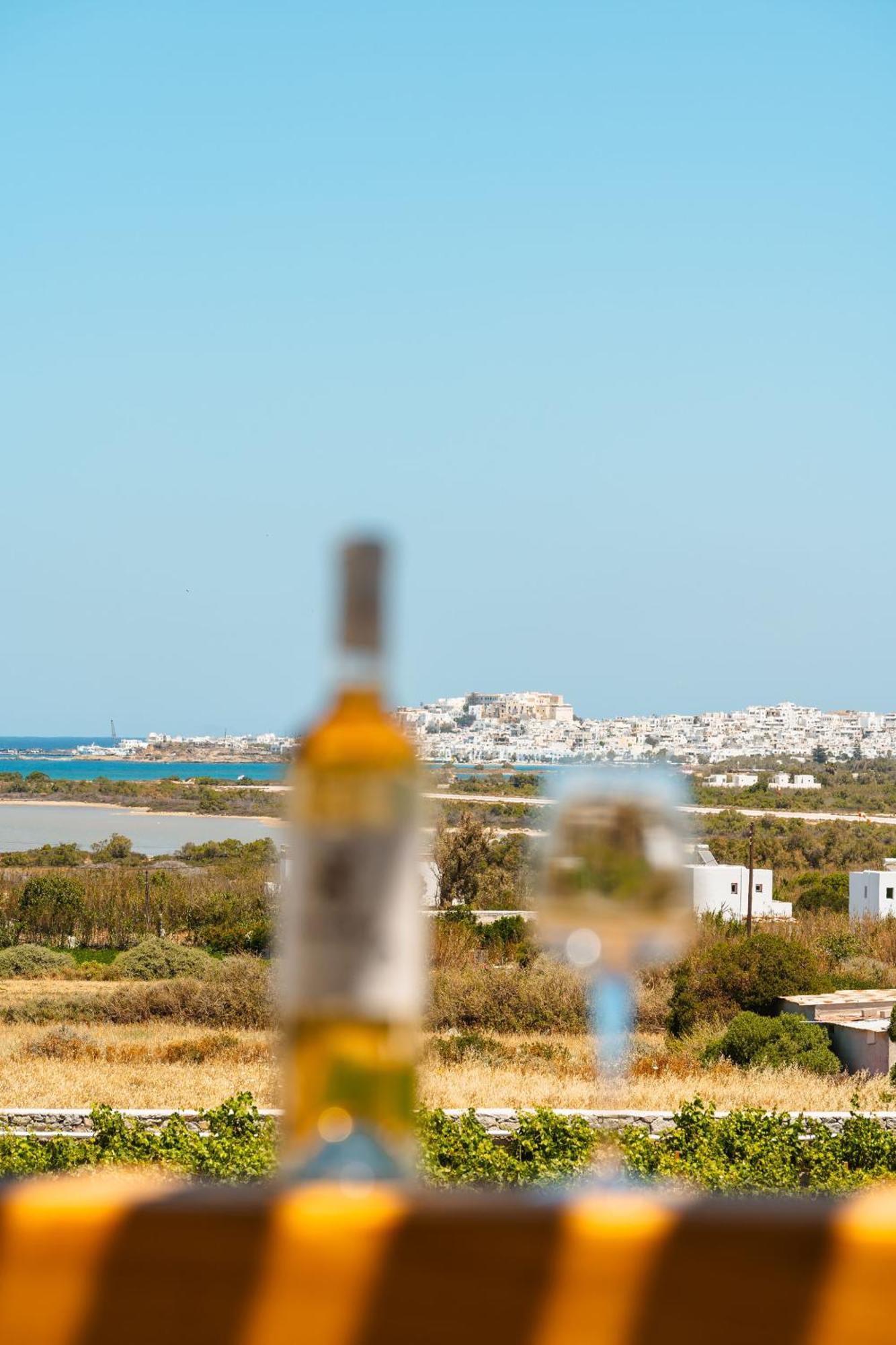 Sunday Luxury Suites Agia Anna  Dış mekan fotoğraf